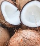 Coconut