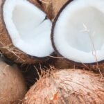 Coconut