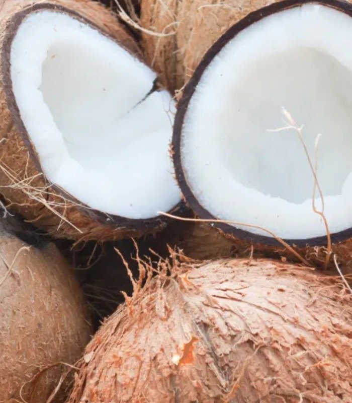 coconut